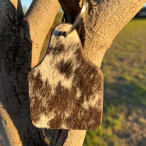 Tag keychain