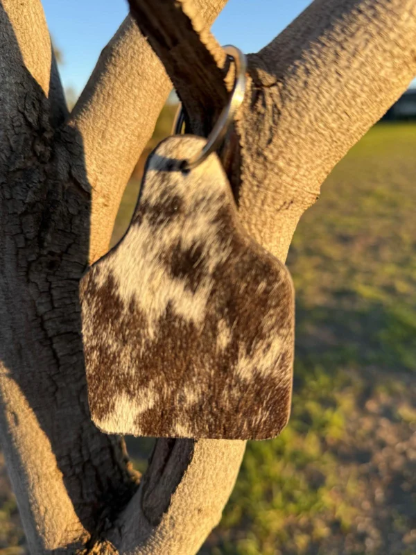 Tag keychain